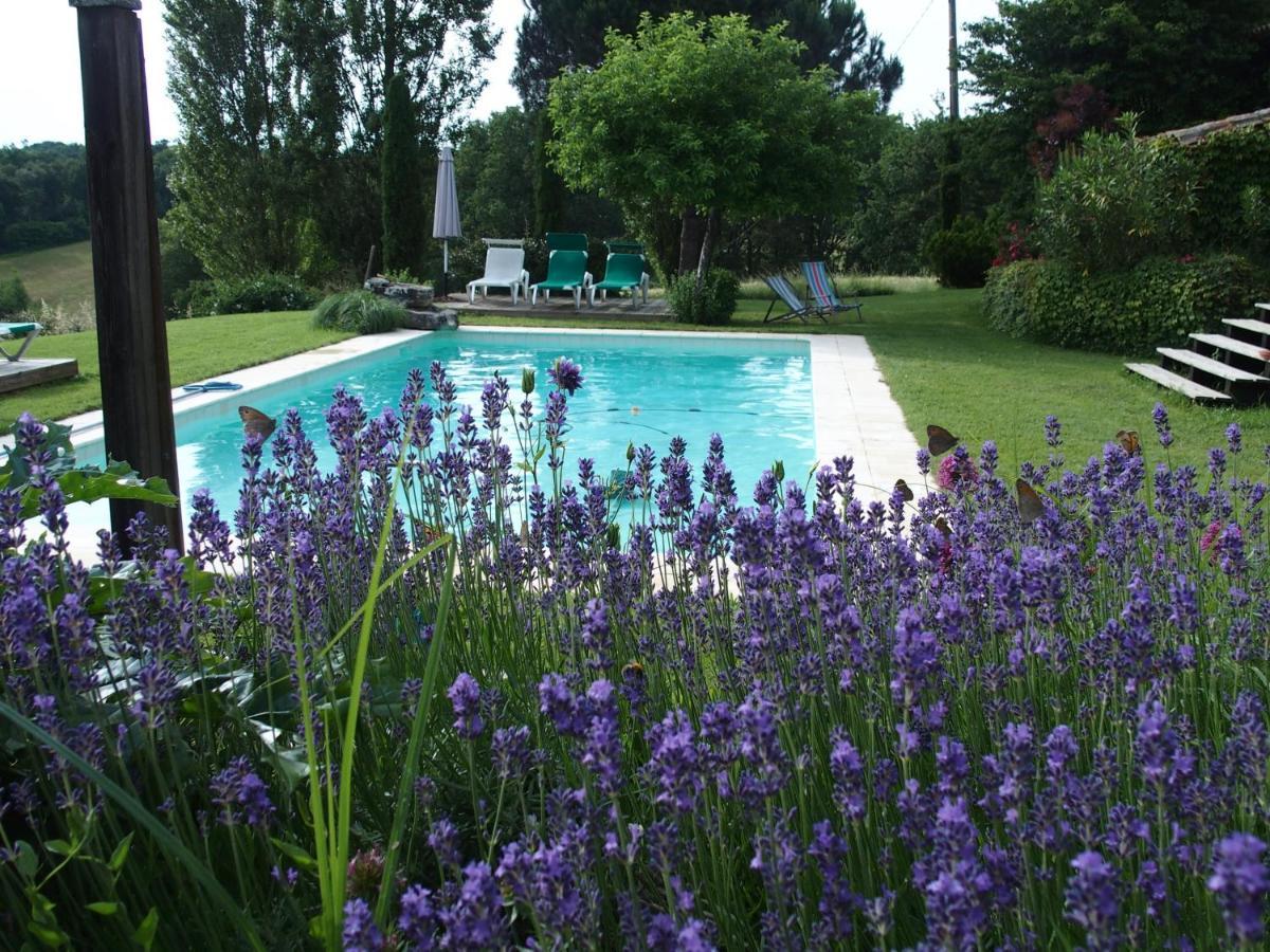 Bed and Breakfast Les Tamaris Castelnau-sur-Gupie Экстерьер фото