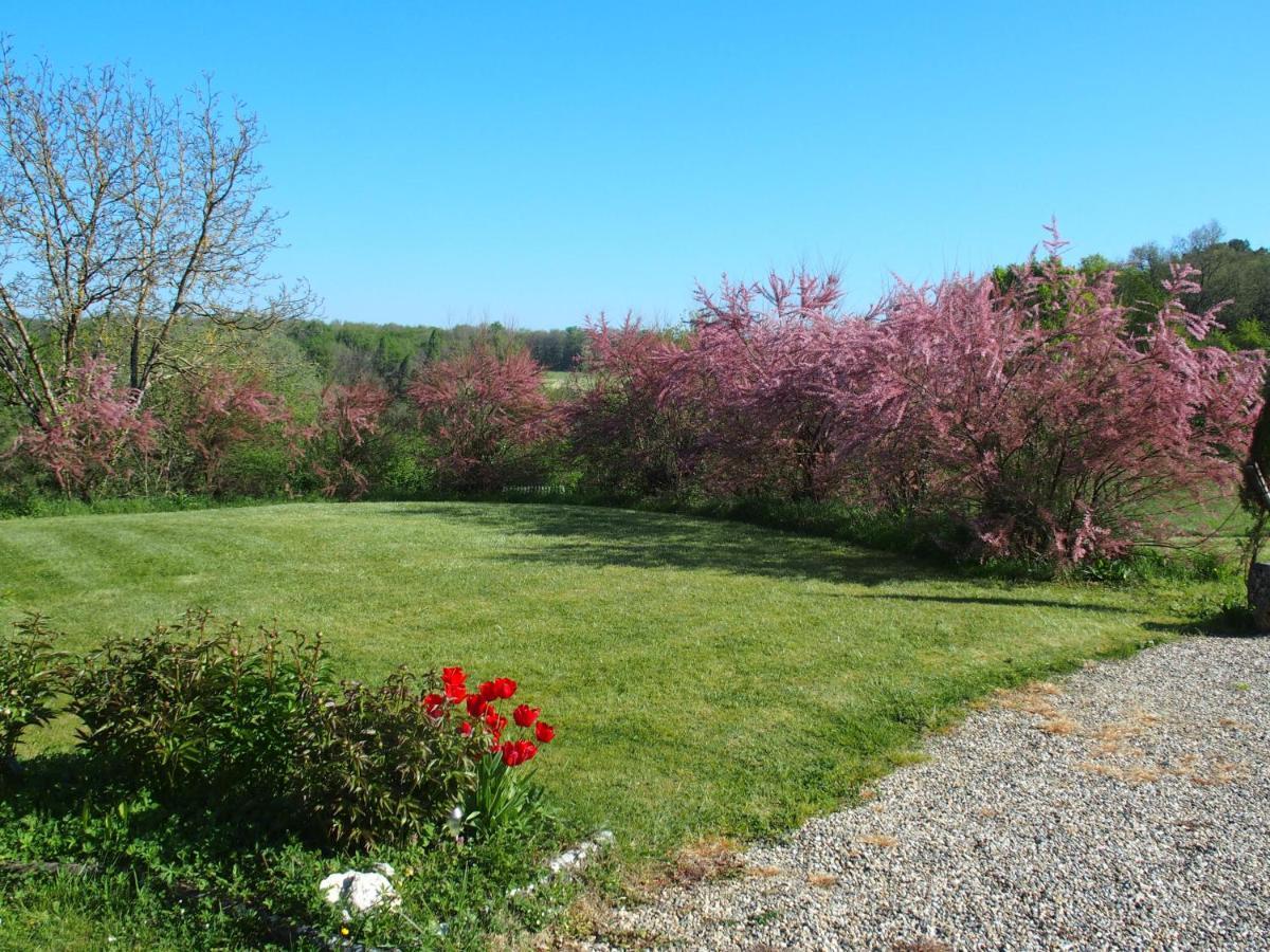 Bed and Breakfast Les Tamaris Castelnau-sur-Gupie Экстерьер фото