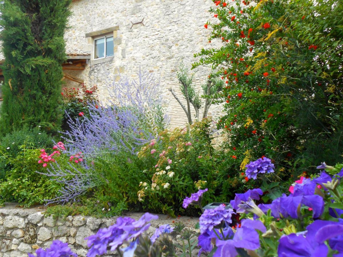 Bed and Breakfast Les Tamaris Castelnau-sur-Gupie Экстерьер фото